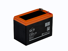 Аккумулятор SKN 6-DZF-24 (12V24Ah) C2